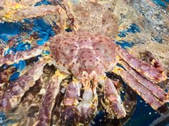 -盒马鲜生(曜一城店)