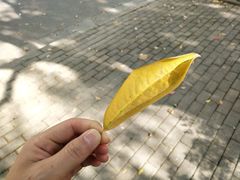 -杭州城北体育公园