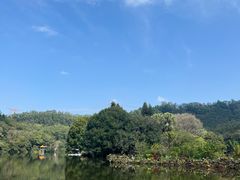 -深圳仙湖植物园