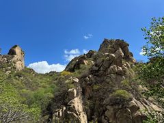 -大岭沟猕猴桃谷风景区