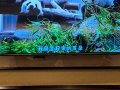 -眉州东坡(春秀路店)