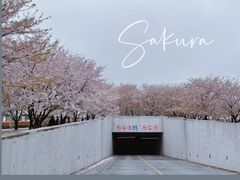 -龙美术馆(西岸馆)