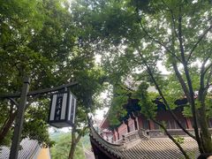 -灵隐飞来峰景区