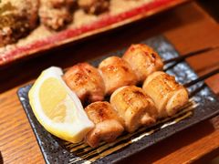 -鸟屯(三里屯店)
