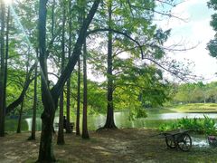 -共青国家森林公园-南大门停车场