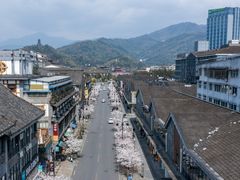 -老号尤兔头(幸福店)
