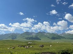 -新疆那拉提国家旅游度假区
