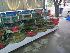 -叶存利海鲜大馅饺子(东戴河止锚湾店)