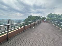 -福道