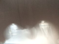 iphone_upload_pic-樊家宠物医院