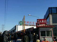 -中环花鸟鱼虫市场