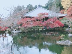 -醍醐寺