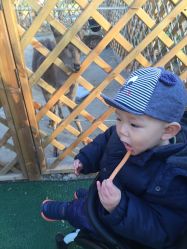 -萌宠亲子动物乐园(槐房万达店)