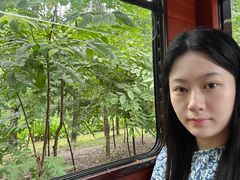 -合肥滨湖国家森林公园