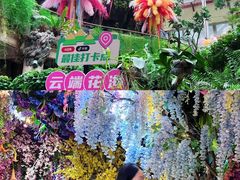 -正佳雨林生态植物园