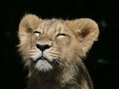-昆山招商花园城