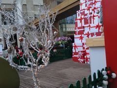 -上海外滩茂悦大酒店