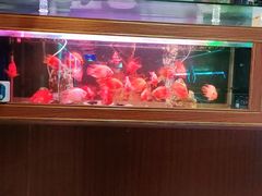-亮电竞·棋牌(杨行店)