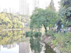 -重庆彩云湖湿地公园