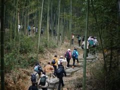 -午潮山国家森林公园