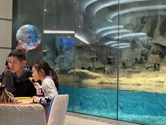 -帝企鹅自助餐厅•儿童岛•真企鹅(长隆企鹅酒店)