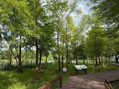 -梁鸿国家湿地公园