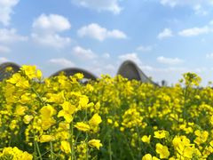 -中国天府农业博览园