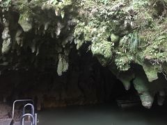 -怀托摩萤火虫洞