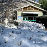 青松挺且直