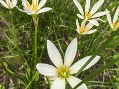 -西安市长乐公园