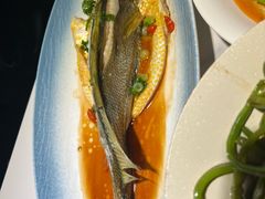 -33号大院·青岛本帮菜(五四广场店)