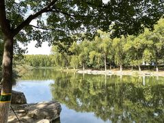 -大兴滨河森林公园