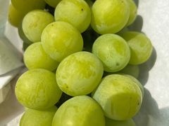 -马陆小张葡萄园农家乐