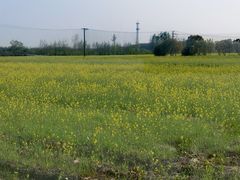 -嘉北郊野公园