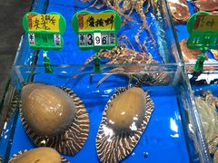 -大东海海鲜酒楼(渔人码头总店)