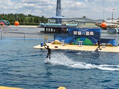 -秦皇岛乐岛海洋王国