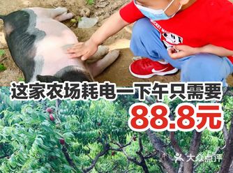 这家农场耗电一下午只需要88.8元