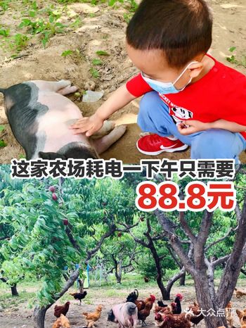 这家农场耗电一下午只需要88.8元