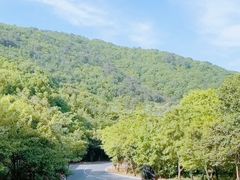-句容茅山景区