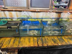水产区-蓝湾碧波·老字号·疍家非遗海上餐厅