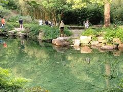 -黄公望隐居地
