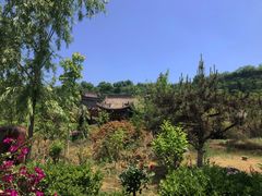 -渭南桃花源民俗文化园