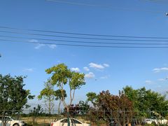 -梁鸿国家湿地公园