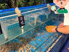 -渔家火锅·海鲜自助餐·演艺(亚龙湾天域酒店)