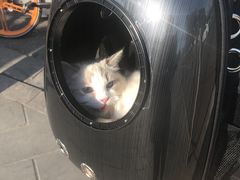 -康乐宝动物医院