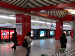 -望京西(地铁站)