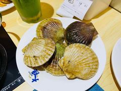 鲜活扇贝-金环海鲜自助(大坪时代天街店)
