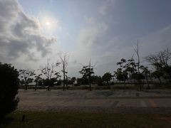 -椰小鸡·琼州糟粕醋·火锅(美兰缤纷城店)