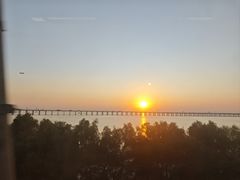 -宝安西湾红树林湿地公园