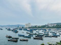 -海驴岛(荣成市)